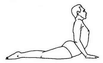 Правила выполнения позы кобры в йоге: советы начинающим