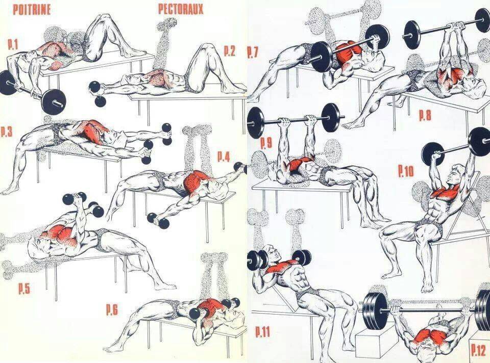 Упражнения на грудь » упражнения в картинках » физкультура тела