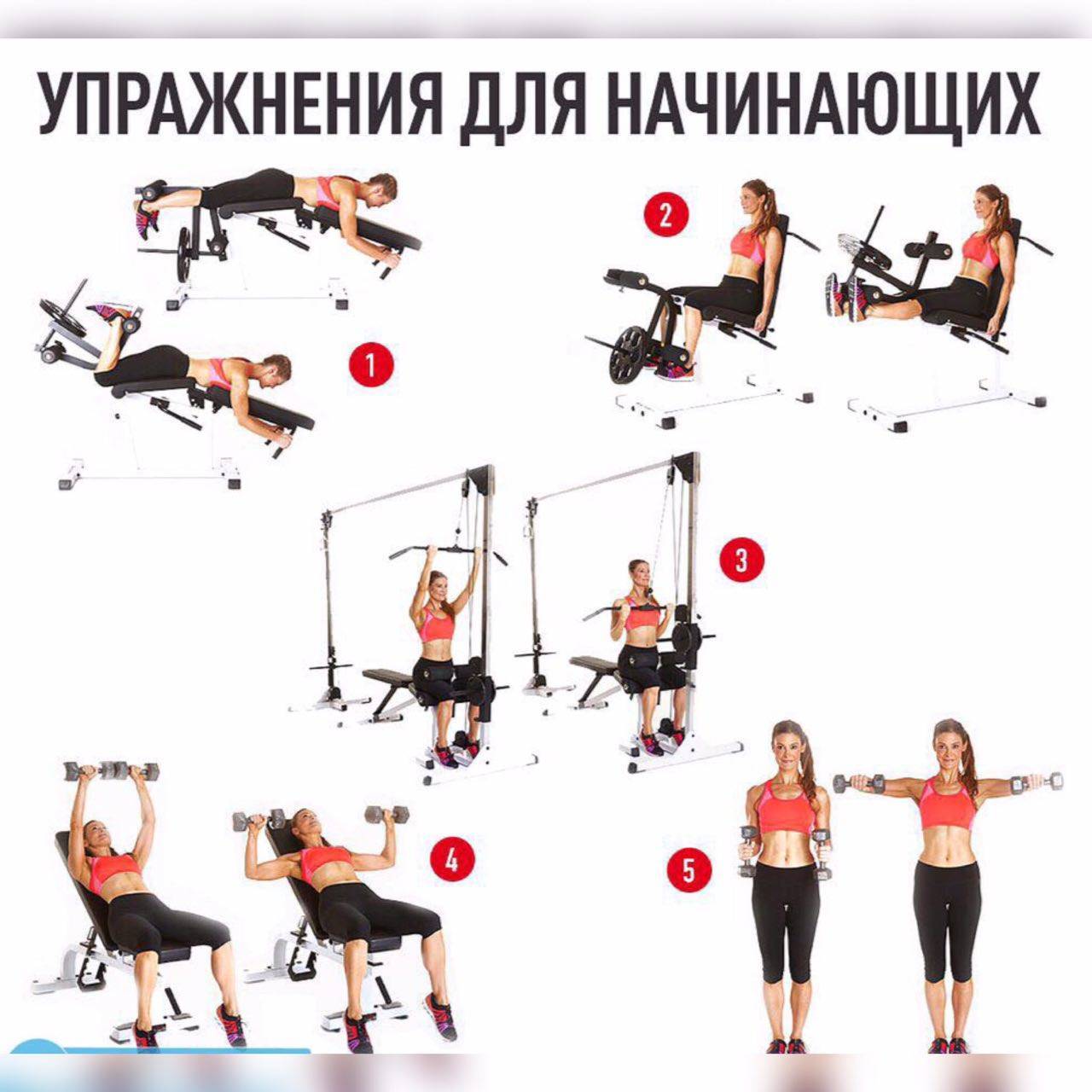 Комплекс упражнений на тренажерах для женщин в спортзале – какие тренажеры рулят?