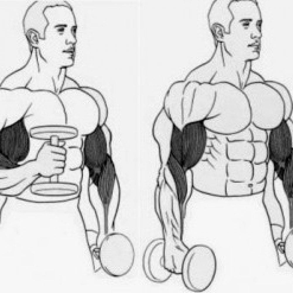 Можно ли качать трицепс и бицепс в один день, одновременно: как лучше совмещать тренировку рук и плеч?
