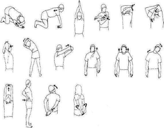 Растяжка плеч и плечевого пояса: комплекс упражнений для начинающих