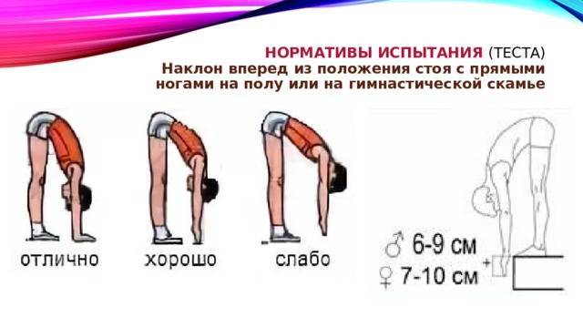 Наклоны со штангой на плечах: техника выполнения и какие мышцы работают | irksportmol.ru
