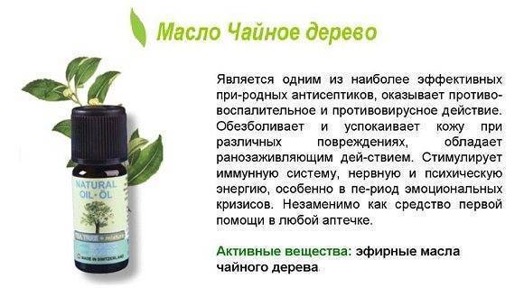 Масло чайного дерева для волос | компетентно о здоровье на ilive