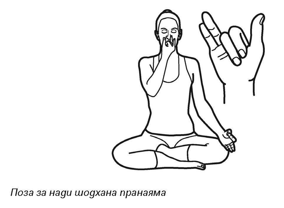 Пранаяма для начинающих - азбука йоги