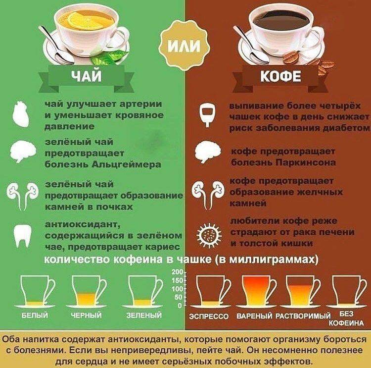 Чай или кофе: что полезнее для человека и лучше бодрит утром?