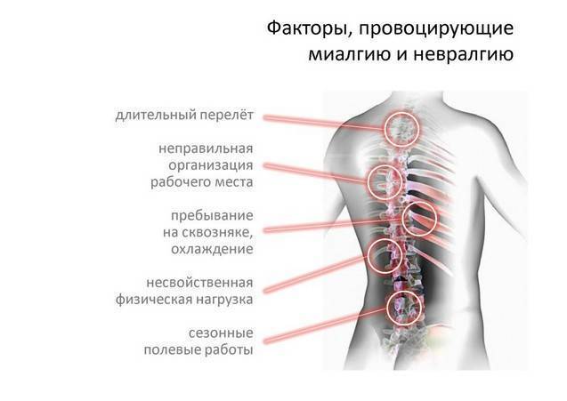Боль в лопатках на спине - причины, типы болевых ощущений, лечение