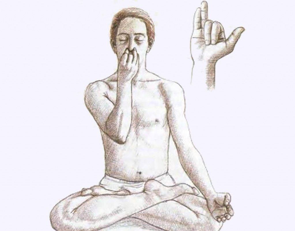 Тема 5 медитация. анулома вилома и прана шуддхи. древние тантрические техники йоги и крийи. вводный курс