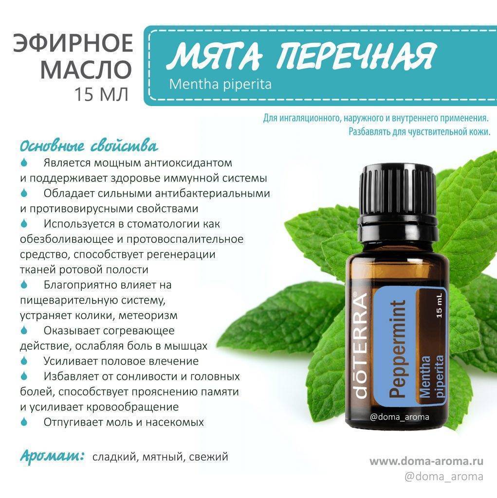 Мятное масло: свойства и применение