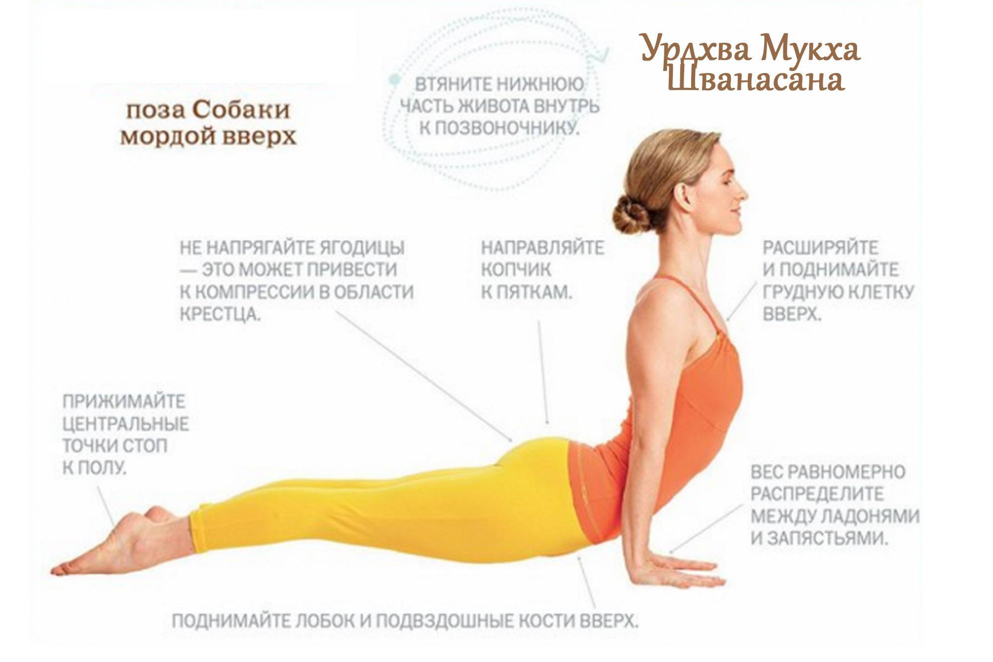 Применение йоги для оздоровления коленных суставов