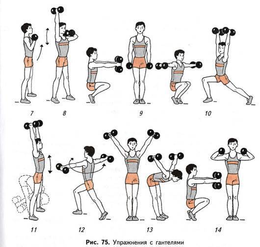 Гантели для новичков. Комплекс упражнений с гантелями (10-12 упражнений). Занятия для рук с гантелями для женщин комплекс упражнений. Упрочненияс гантелями. Комплекс упражнений с гантелямм.