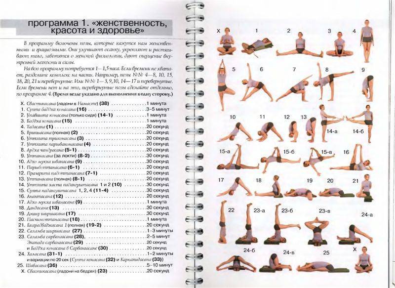 Составление комплекса упражнений йоги: общие принципы. - psy yoga studio - psy yoga studio
