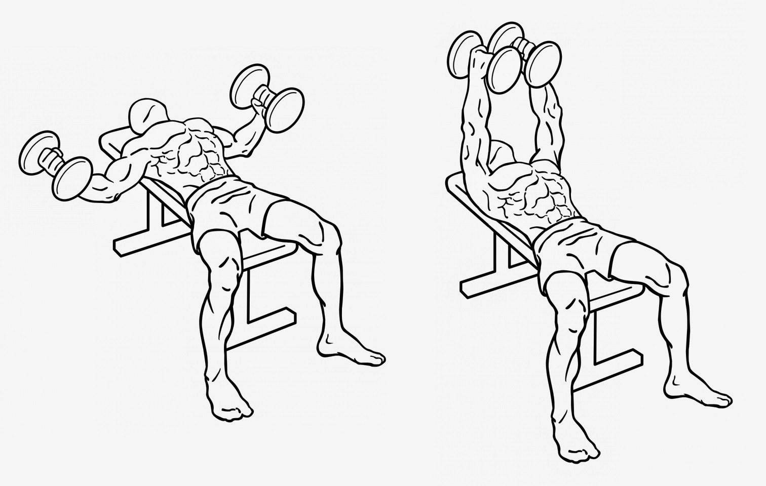 Разводка гантелей лежа: обзор вариантов упражнений на наклонной и горизонтальной скамье