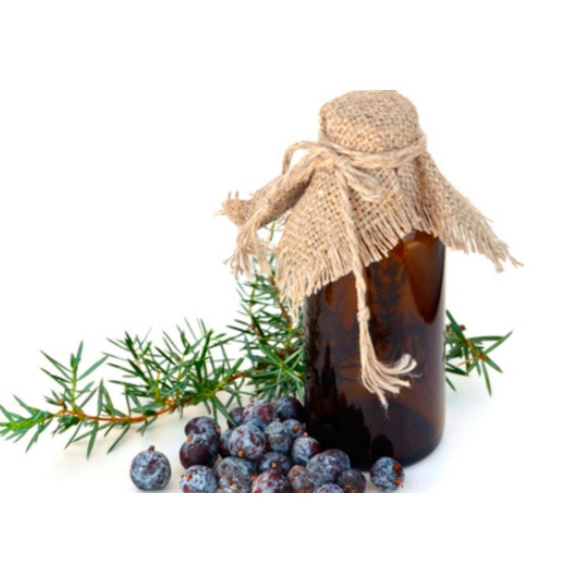 Эфирное масло из ягод и древесины можжевельника: свойства, польза, способы применения и противопоказания