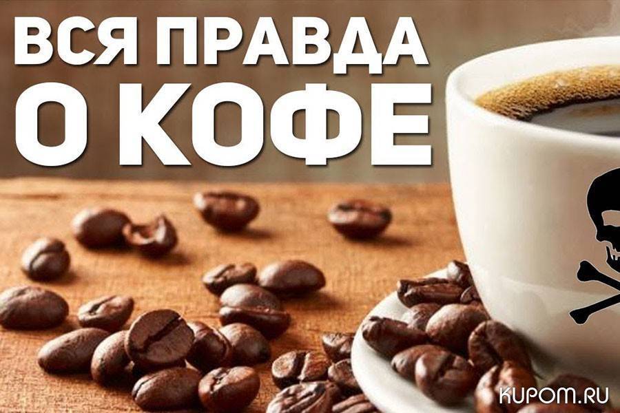 В чем польза и вред кофе: как напиток влияет на организм, опасные свойства и польза для здоровья