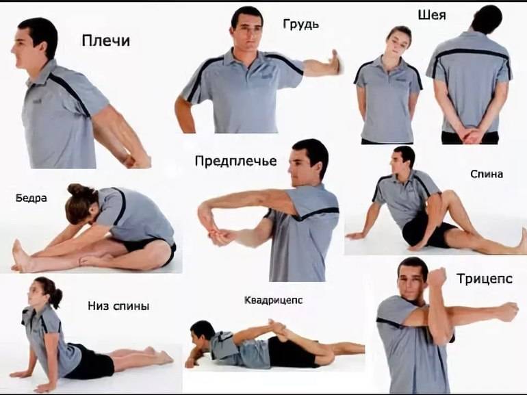 Тянем мышцы: как правильно делать растяжку