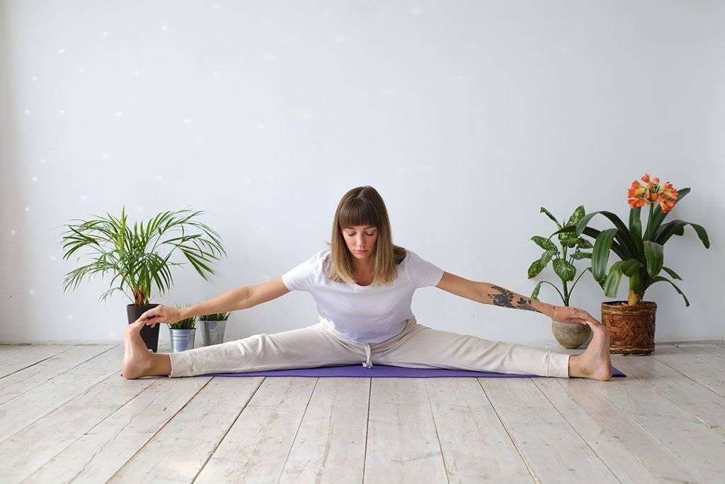 Крийя йога. учение парамахансы йогананды