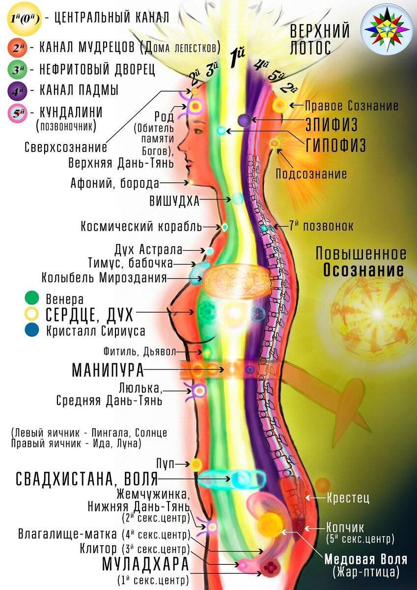 Энергетические точки на теле человека схема