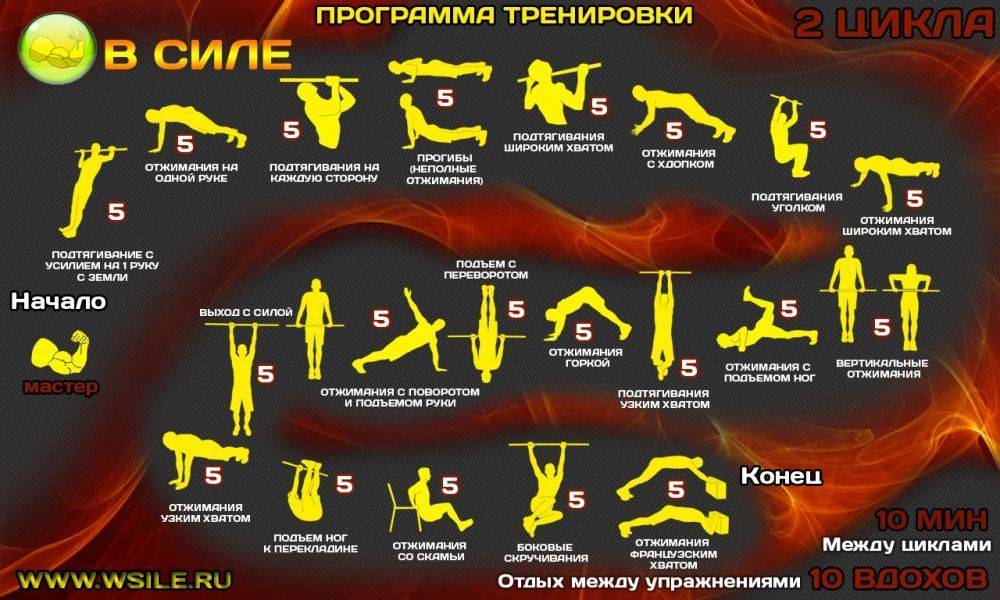 Тренировки бойцов mma: силовые, круговые, ударные программы
