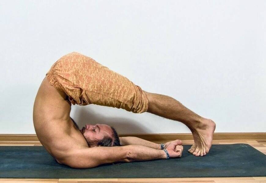 Халасана — плуг. йога-терапия. новый взгляд на традиционную йога-терапию