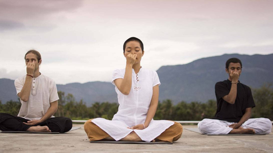 Дыхательная йога: техника правильного дыханиея для начинающих