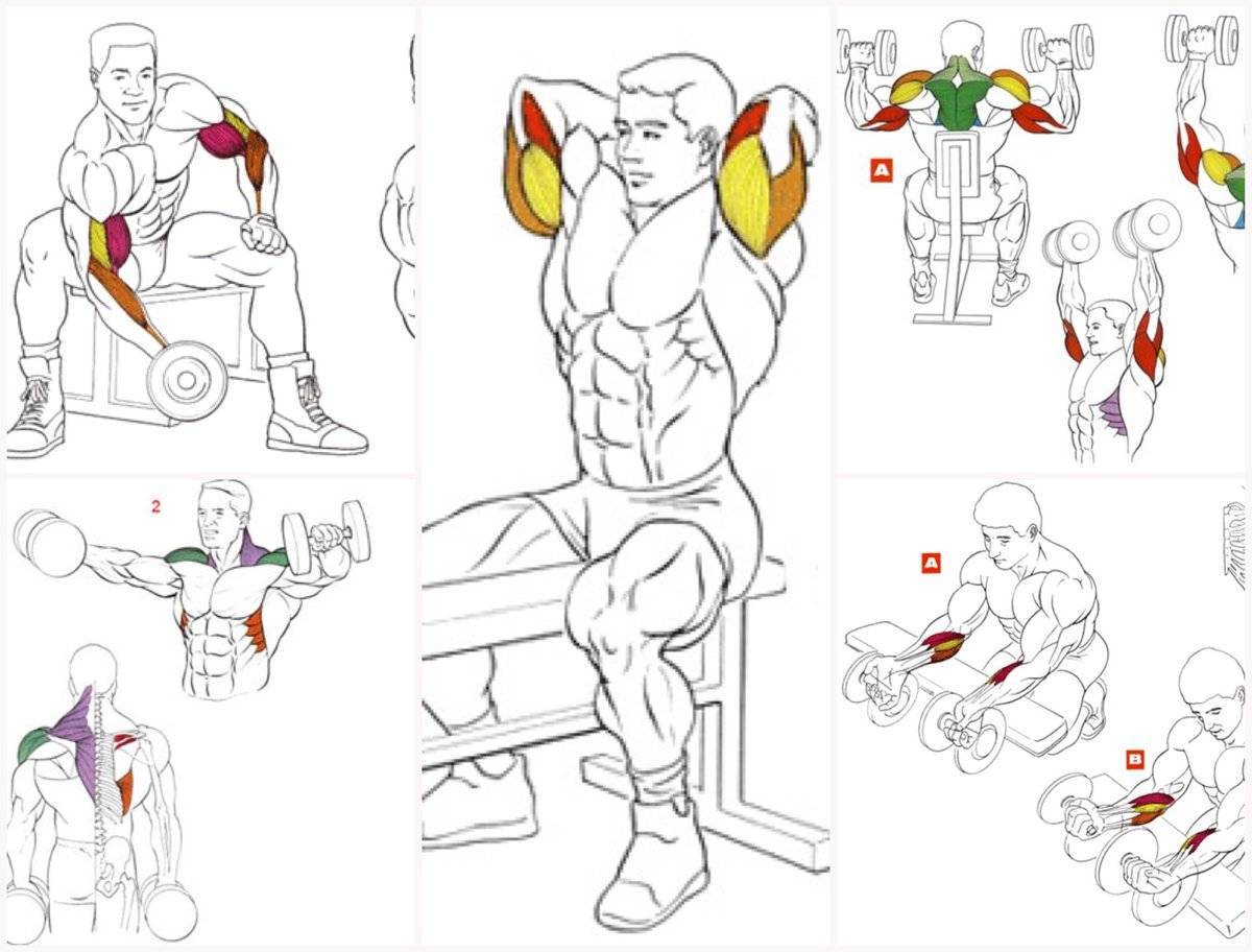 Как накачать мышцы в домашних условиях с нуля: программы тренировок для мужчин и женщин