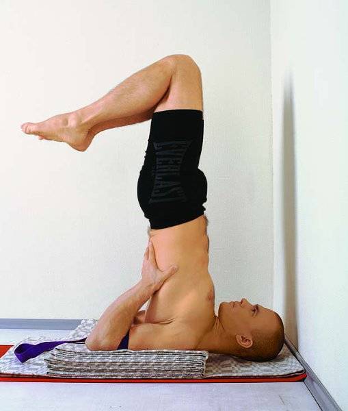 Асаны йоги с фото и описанием для начинающих, 31 упражнение