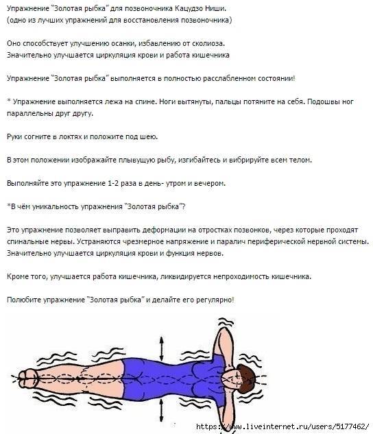 Гимнастика ниши для начинающих для позвоночника, капилляров. 6 правил здоровья, практические упражнения. система оздоровления кацудзо ниши