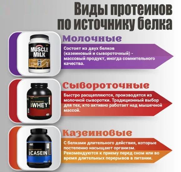 Какой протеин лучше для похудения девушке или женщине - allslim.ru