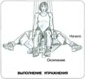 Разведение ног в тренажере: упражнение для гипертрофии ягодичных мышц, техника выполнения и практические рекомендации