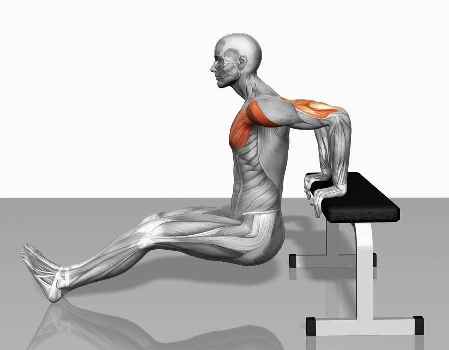6 упражнений для плоского живота — гимнастика, сидя на стуле