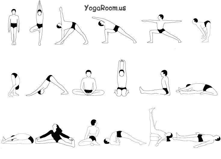 Асаны хатха-йоги для начинающих: основные упражнения и комплексы