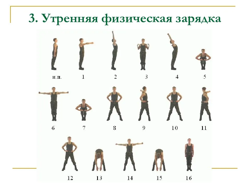 Эффективный комплекс упражнений для утренней зарядки | rulebody.ru — правила тела