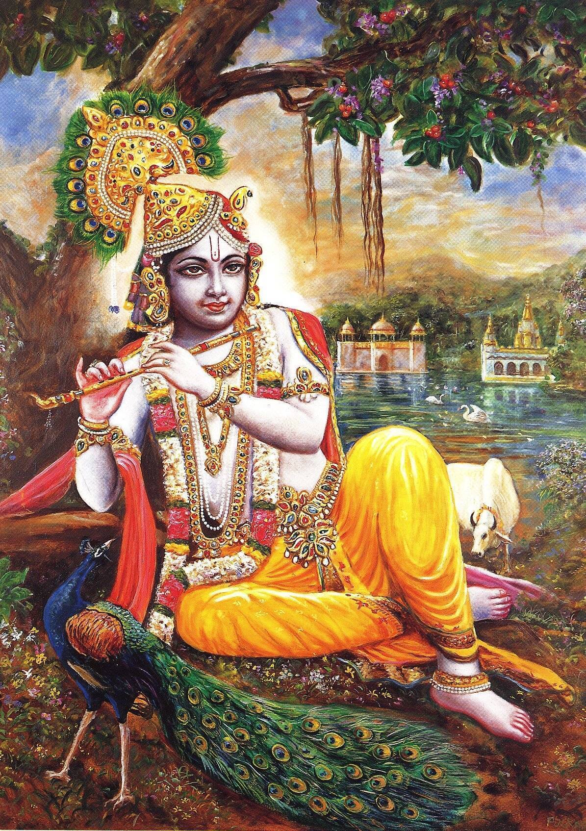 Кришна: кто такой, описание, иконография, история появления, поклонение индийскому божеству