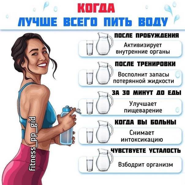 Почему после тренировки нельзя пить. мнения за и против | proka4aem.ru