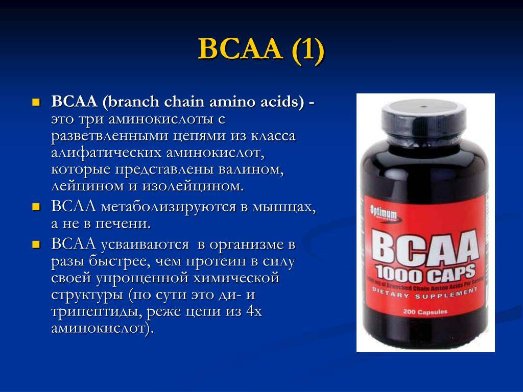 Как принимать аминокислоты bcaa и... стоит ли? может лучше протеин? - promusculus.ru
как принимать аминокислоты bcaa и... стоит ли? может лучше протеин? - promusculus.ru