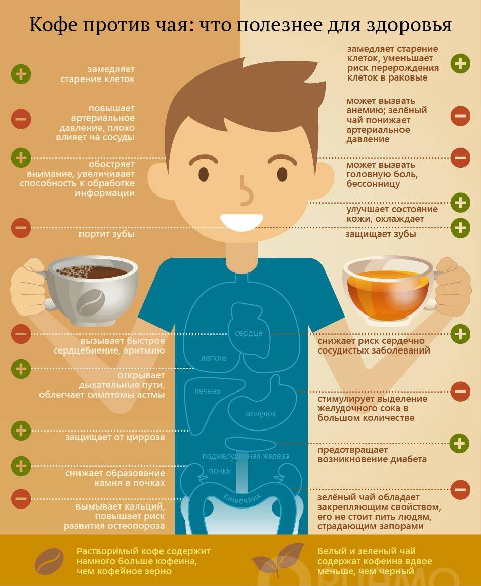 Чай или кофе: что лучше, сравнение вредных и полезных свойств, содержание кофеина