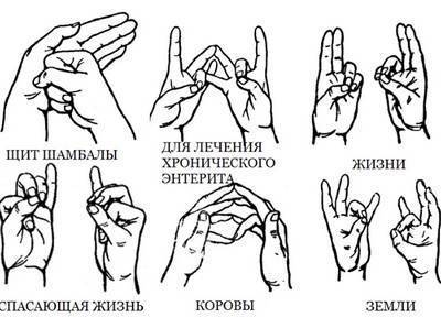 Мудра йога для пальцев рук: основы практики для начинающих