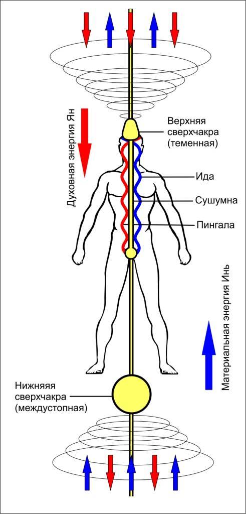 Энергетические каналы в теле человека