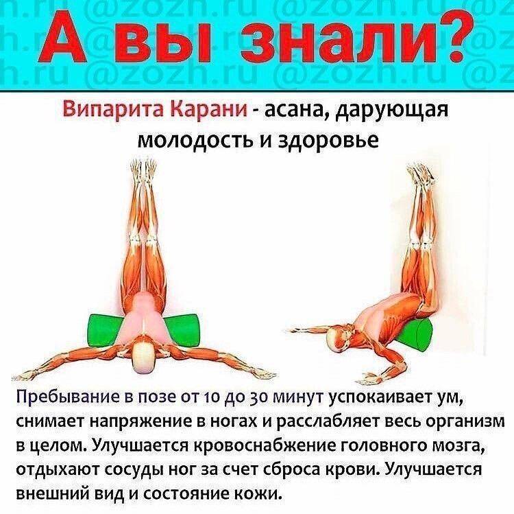 Миогимнастика в ортодонтии - комплексы упражнений