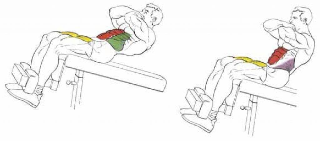 Римский стул: виды тренажеров, как делать скручивания и подъем туловища на римском стуле