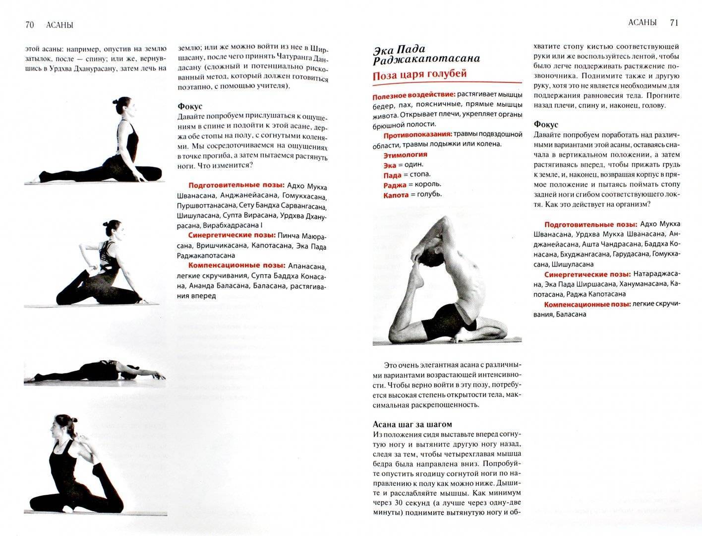 Читать книгу йога дипика: прояснение йоги б. к. айенгара : онлайн чтение - страница 12