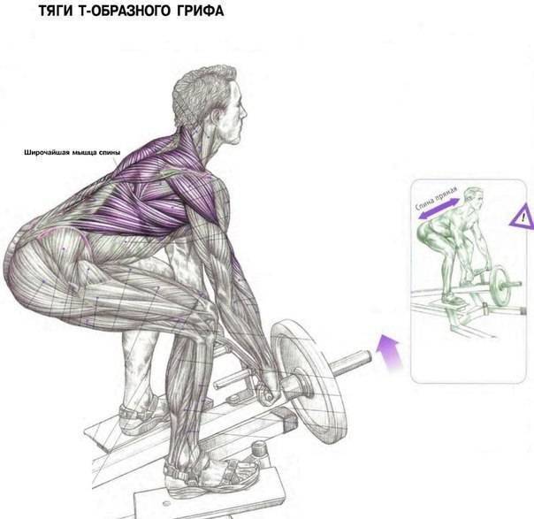 Тяга т-грифа в наклоне: техника выполнения упражнения | irksportmol.ru