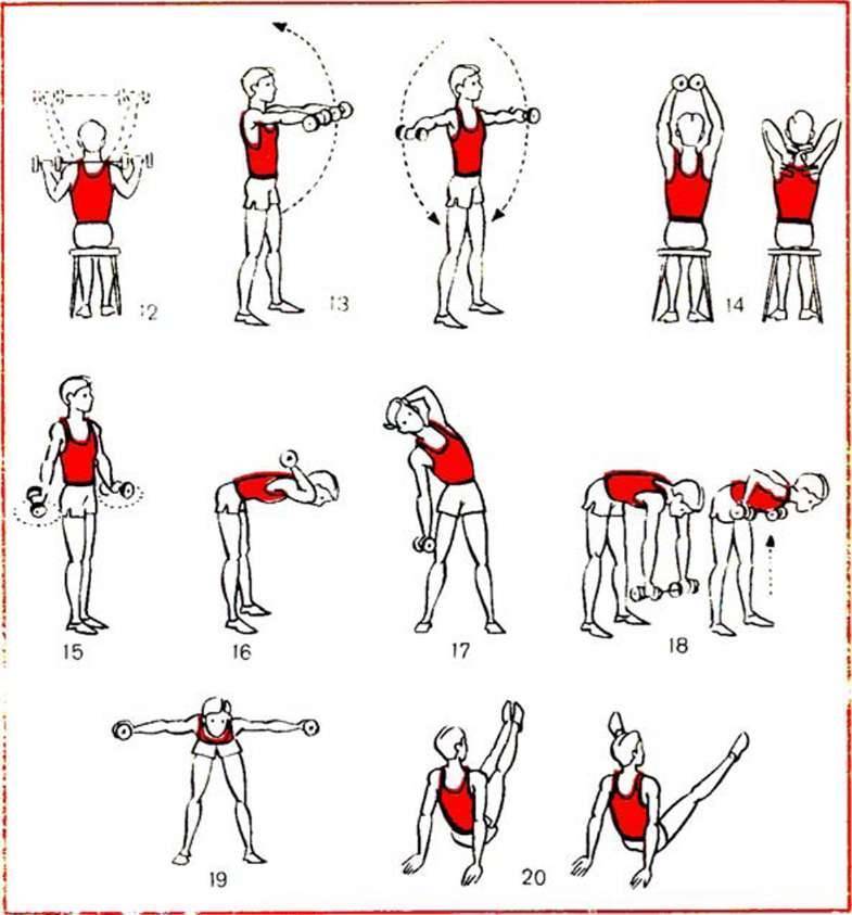 Упражнения с гантелями для женщин: эффективные комплексы тренировок для начинающих