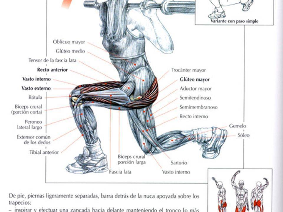 Как накачать ноги: упражнения и рекомендации