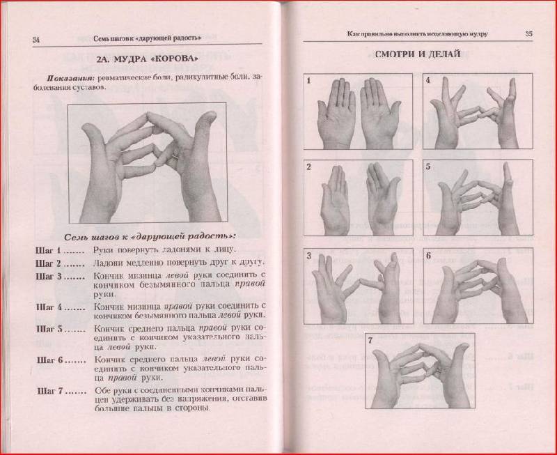 Знакомьтесь: йога пальцев — мудры. лечение детей нетрадиционными методами. практическая энциклопедия.