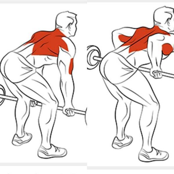 Широчайшая мышца спины (боль с внутренней стороны лопатки)