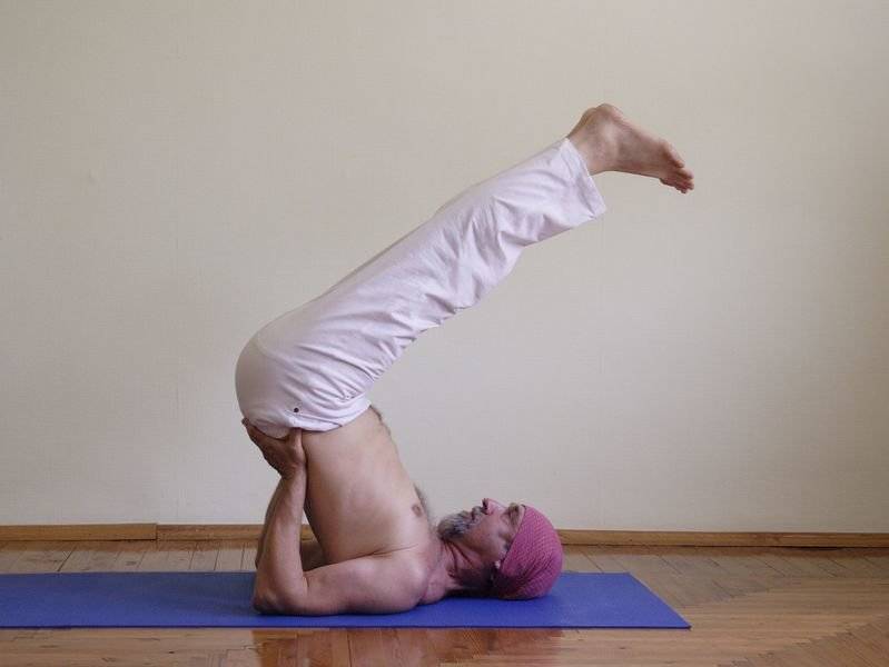 Випарита-карани-мудра — символ перевернутого действия. йога-терапия. новый взгляд на традиционную йога-терапию