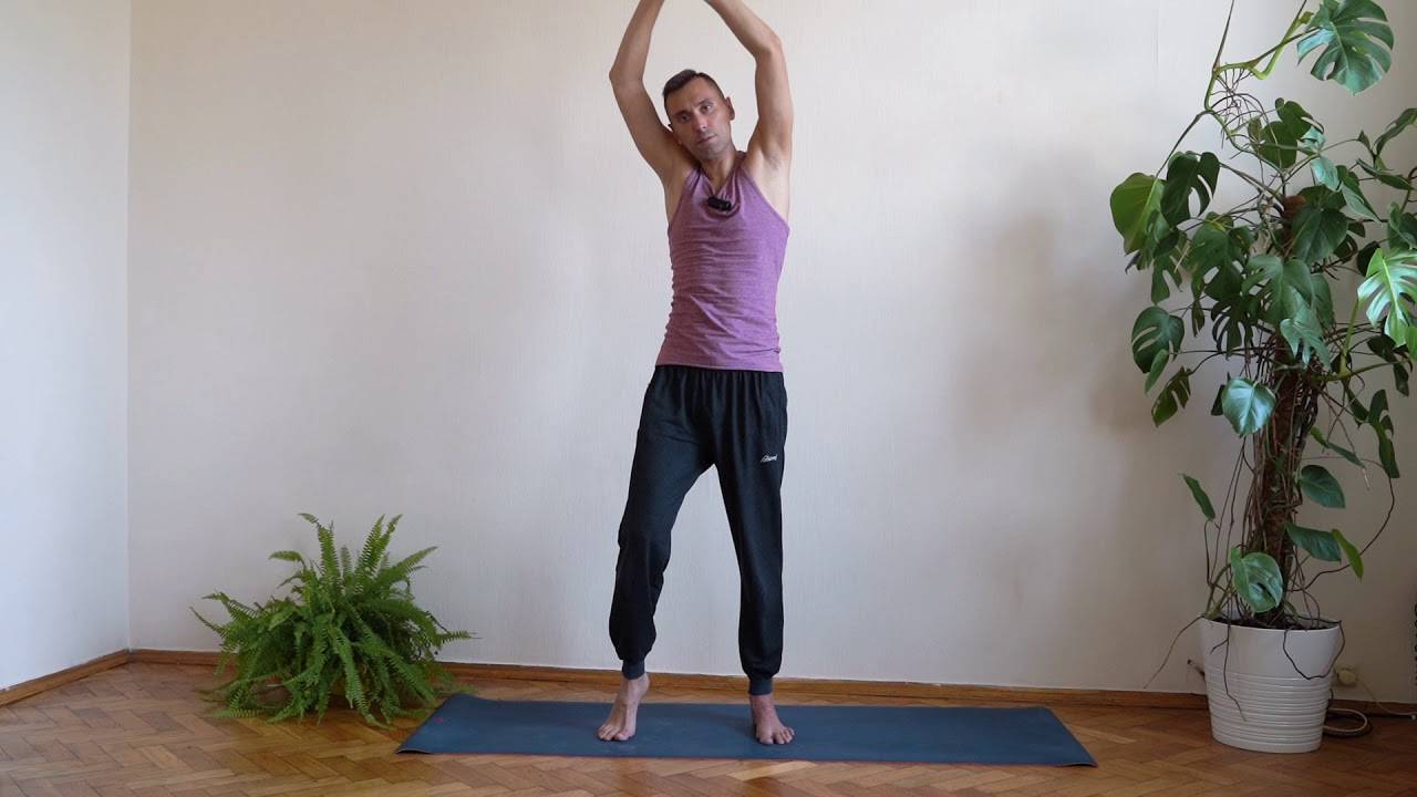 Типы упражнений йоги и их место в практике - psy yoga studio - psy yoga studio