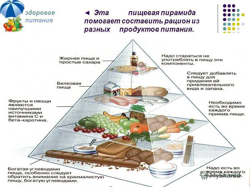 «пирамида питания». диетология: руководство