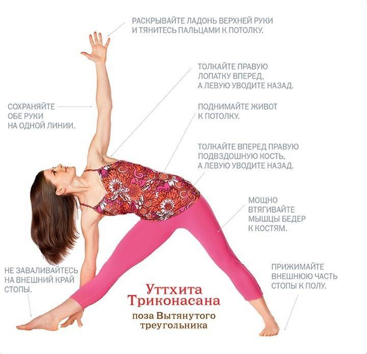 Уттхита триконасана — поза треугольника в йоге | ramananda.org